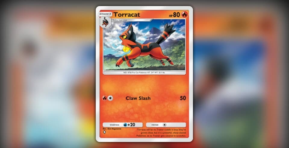Torracat