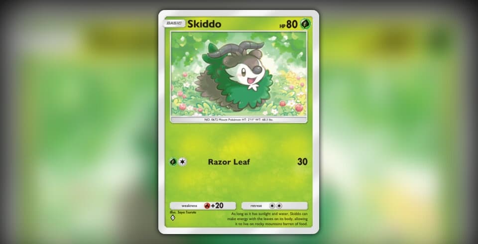 Skiddo