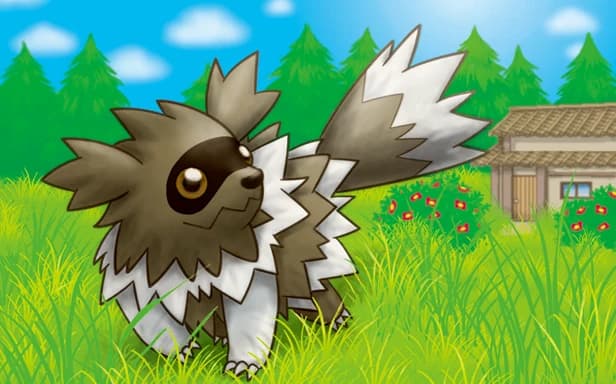 Zigzagoon full art (Pokémon TCG Pocket)