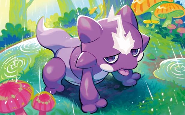 Toxel full art (Pokémon TCG Pocket)