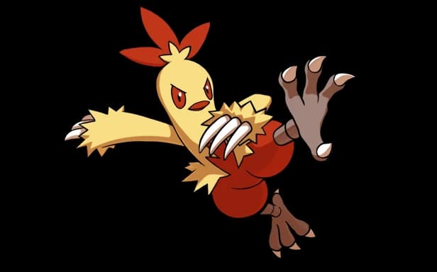 Combusken full art (Pokémon TCG Pocket)