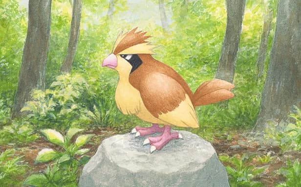 Pidgey full art (Pokémon TCG Pocket)