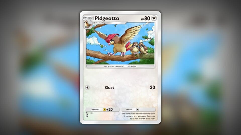 Pidgeotto