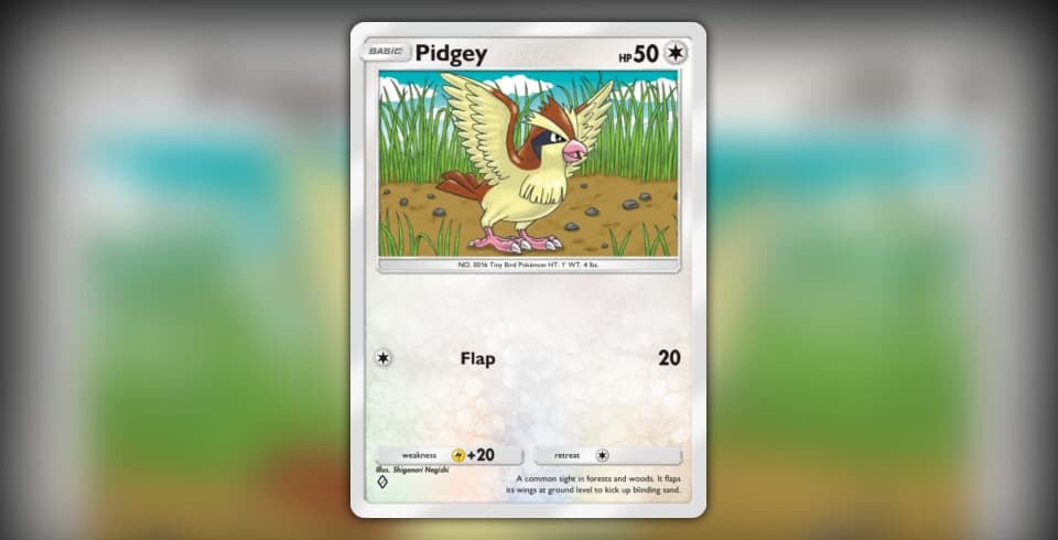 Pidgey