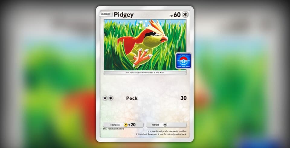 Pidgey