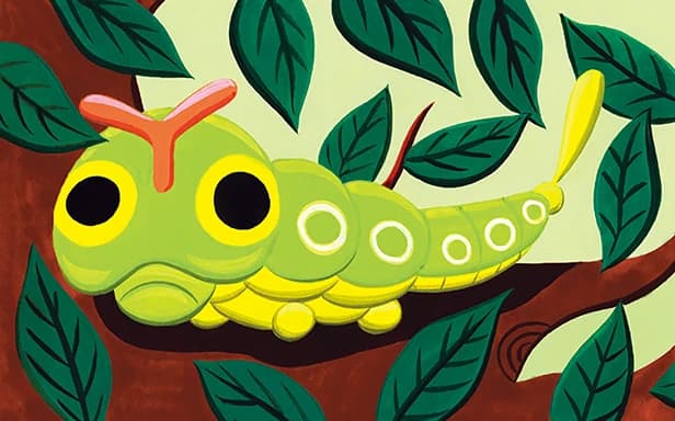 Caterpie full art (Pokémon TCG Pocket)