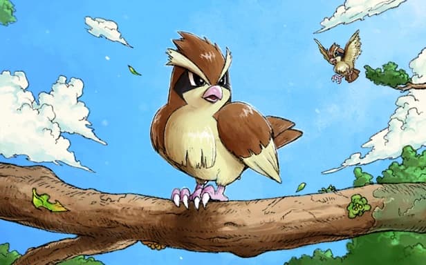 Pidgey full art (Pokémon TCG Pocket)