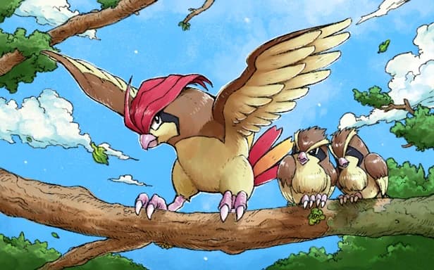 Pidgeotto full art (Pokémon TCG Pocket)