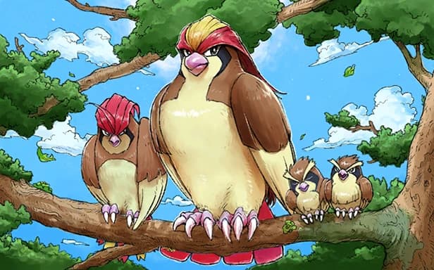 Pidgeot full art (Pokémon TCG Pocket)