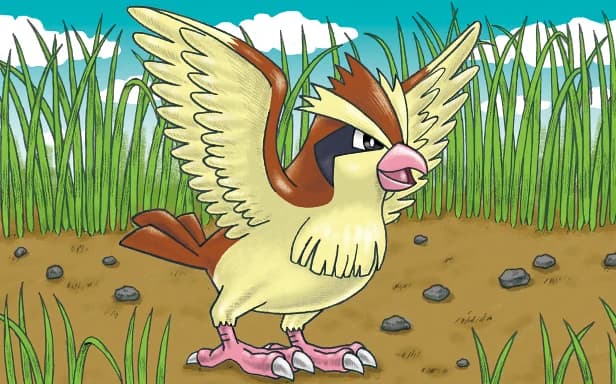 Pidgey full art (Pokémon TCG Pocket)
