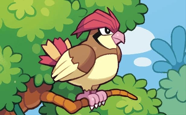 Pidgeotto full art (Pokémon TCG Pocket)
