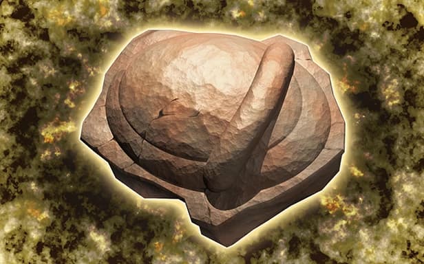 Armor Fossil full art (Pokémon TCG Pocket)