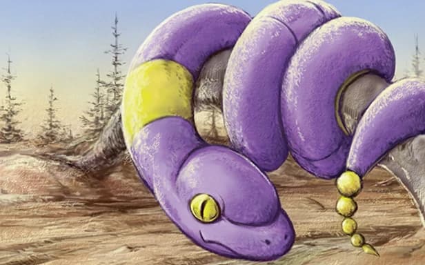 Ekans full art (Pokémon TCG Pocket)