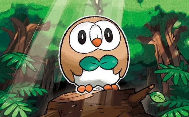 Rowlet full art (Pokémon TCG Pocket)