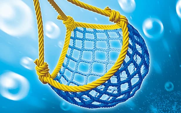 Fishing Net full art (Pokémon TCG Pocket)