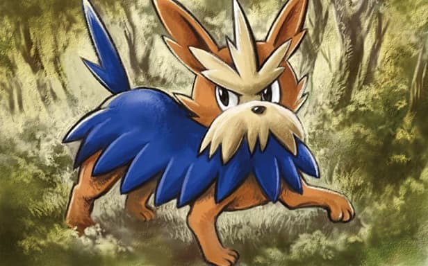 Herdier full art (Pokémon TCG Pocket)