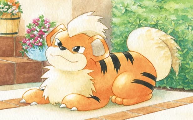 Growlithe full art (Pokémon TCG Pocket)