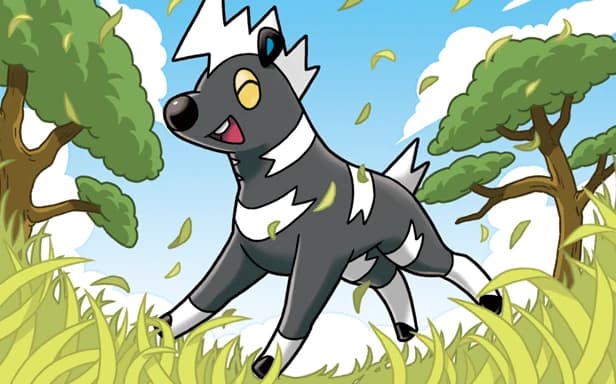 Blitzle full art (Pokémon TCG Pocket)