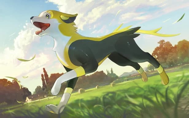 Boltund full art (Pokémon TCG Pocket)