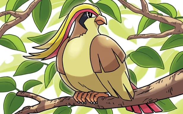 Pidgeot full art (Pokémon TCG Pocket)