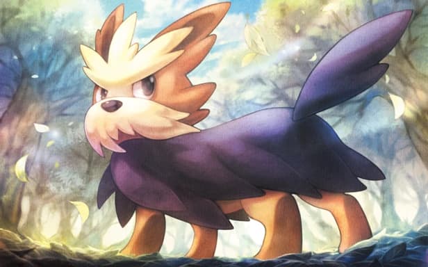 Herdier full art (Pokémon TCG Pocket)