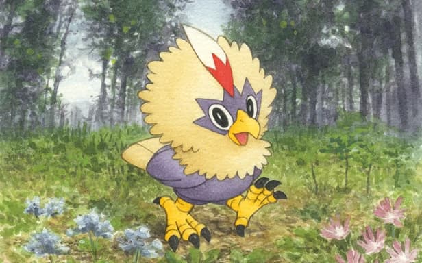 Rufflet full art (Pokémon TCG Pocket)