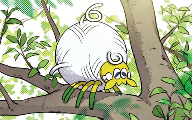Tarountula full art (Pokémon TCG Pocket)