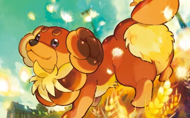Dachsbun full art (Pokémon TCG Pocket)