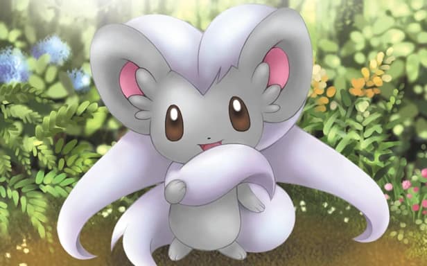 Cinccino full art (Pokémon TCG Pocket)