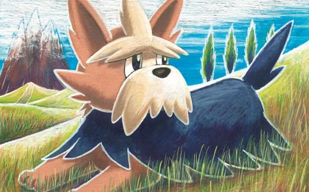 Herdier full art (Pokémon TCG Pocket)