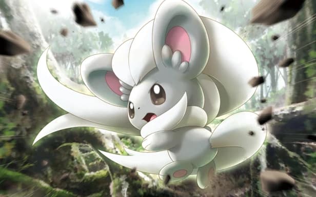 Cinccino full art (Pokémon TCG Pocket)