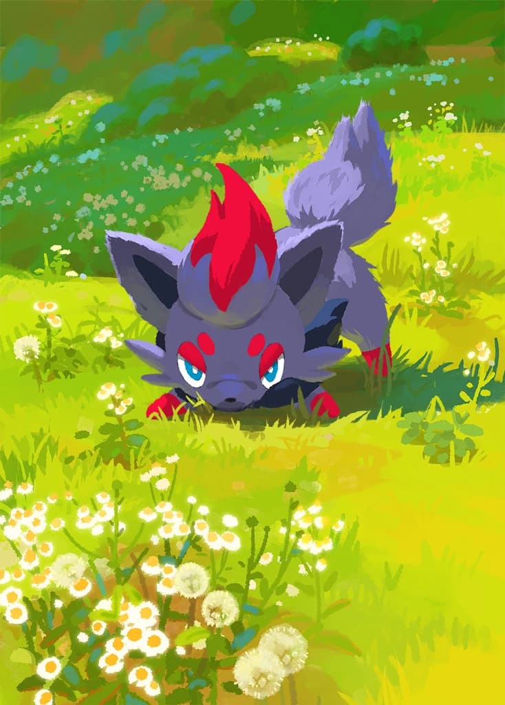 Zorua full art (Pokémon TCG Pocket)