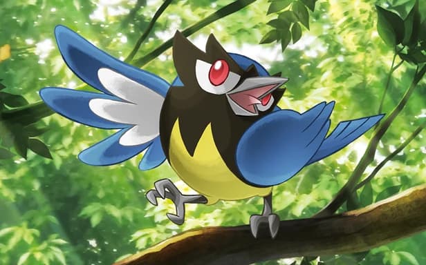 Rookidee full art (Pokémon TCG Pocket)