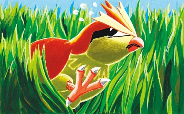 Pidgey full art (Pokémon TCG Pocket)