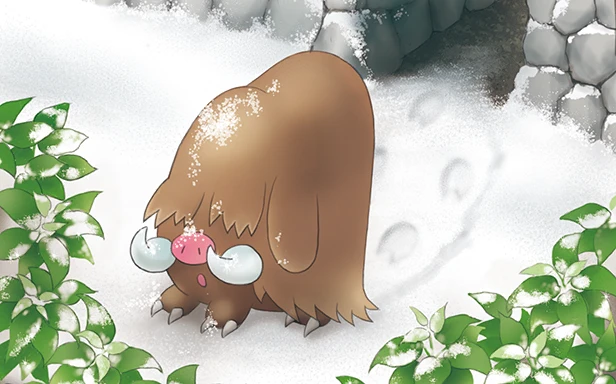 2016年 ポケモン Piloswine/Swinub GEM MT 10 2016年 ポケモン Piloswine/Swinub GEM MT 10 - メルカリ
